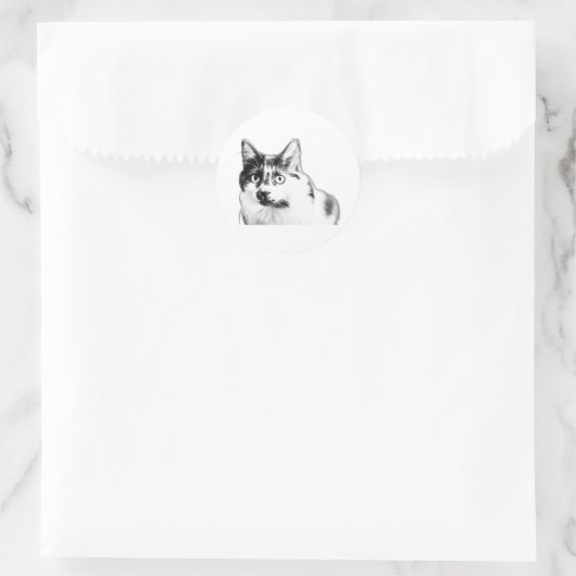 Bold Curious Cat Sticker (Tas)