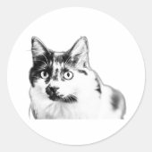 Bold Curious Cat Sticker (Voorkant)