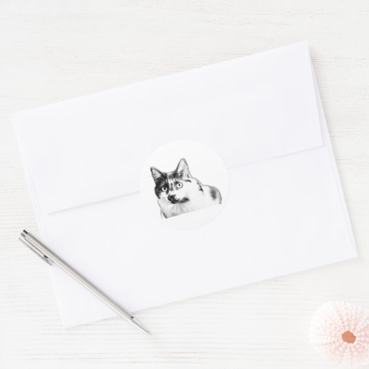 Bold Curious Cat Sticker (Envelop)