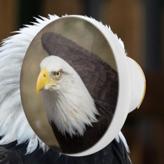 Bold Eagle Ceramic Drawer Knob – Strength Keramische Knop