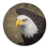 Bold Eagle Ceramic Drawer Knob – Strength Keramische Knop (Voorkant)