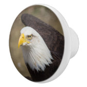 Bold Eagle Ceramic Drawer Knob – Strength Keramische Knop (Rechts)