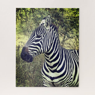 Bold Mooie Zwart-Wit Zebra Kenia Legpuzzel