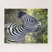 Bold Mooie Zwart-Wit Zebra Kenia Legpuzzel (Horizontaal)