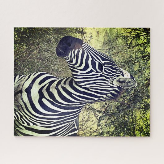 Bold Mooie Zwart-Wit Zebra Kenia Legpuzzel (Horizontaal)