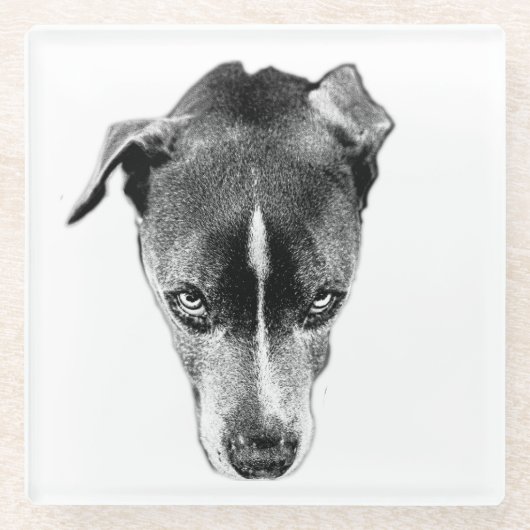 Bold Pitbull Mix Gaze Modern Art Onderzetter (Voorkant)