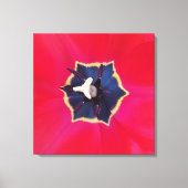 Bold Red Tulp Flower Macro Natuur Canvas Afdruk (Voorkant)