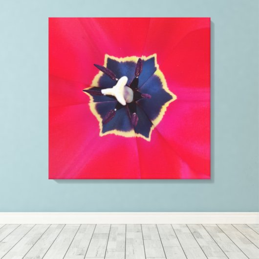 Bold Red Tulp Flower Macro Natuur Canvas Afdruk (Insitu (Houten vloer))