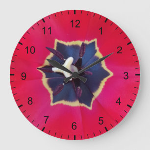 Bold Red Tulp Flower Macro Natuur Grote Klok