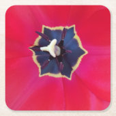 Bold Red Tulp Flower Macro Natuur Kartonnen Onderzetters (Voorkant)