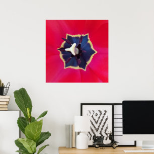 Bold Red Tulp Flower Macro Natuur Poster
