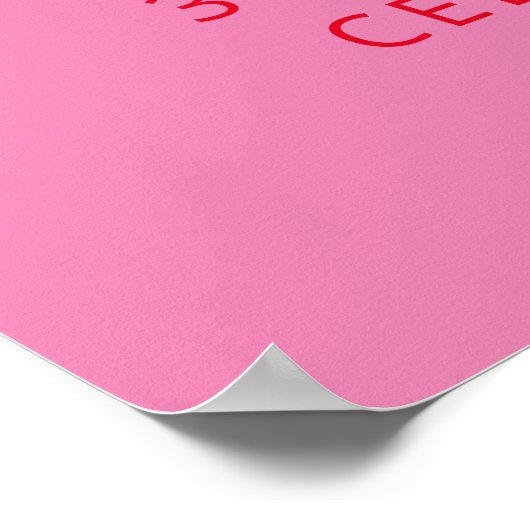 Bold Typography Pink Red Modern Birthday Welkom Poster (Hoek)