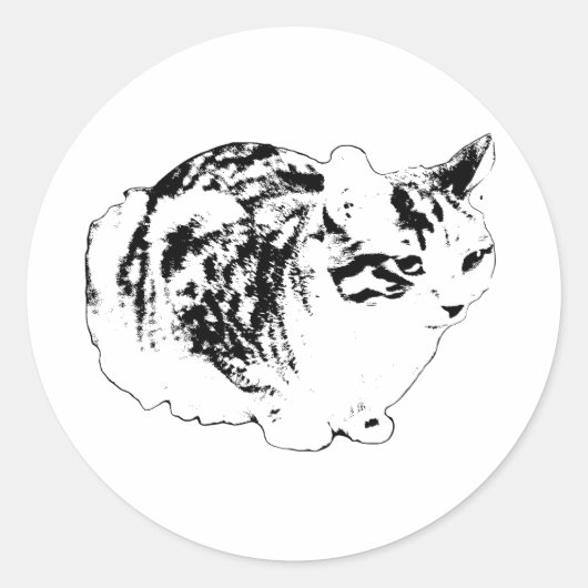 Bold Winter Tabby in Loaf Ronde Sticker (Voorkant)