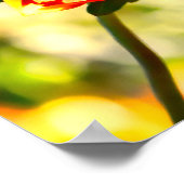 Bolder Butterfly Poster (Hoek)