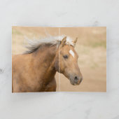 Bolder's Pride Wild Horse Wenskaart Kaart (Binnen)