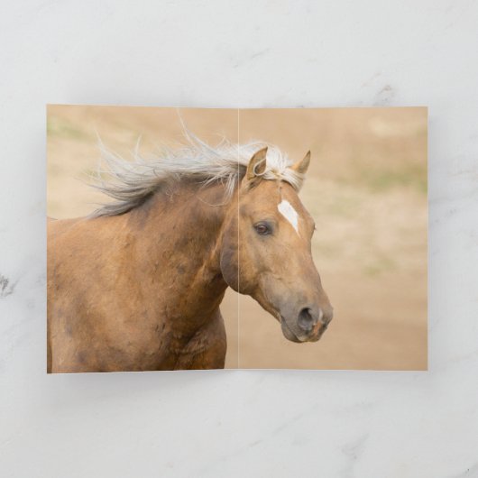 Bolder's Pride Wild Horse Wenskaart Kaart (Binnen)