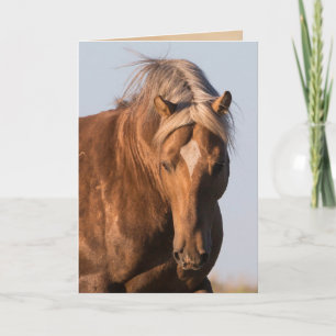 Bolder's Pride Wild Horse Wenskaart Kaart