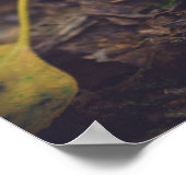 Bolete paddenstoel met gele bladeren poster (Hoek)