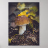 Bolete paddenstoel met gele bladeren poster (Voorkant)
