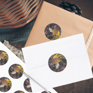 Bolete paddenstoel met gele bladeren ronde sticker