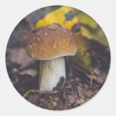 Bolete paddenstoel met gele bladeren ronde sticker (Voorkant)