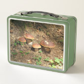 boletus (Achterkant)