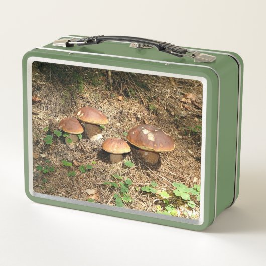 boletus (Achterkant)