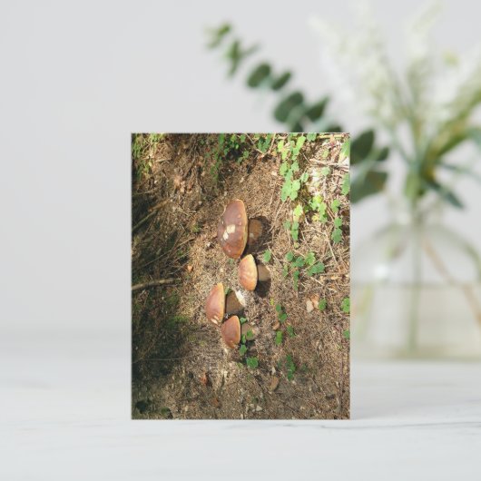 boletus briefkaart (Staand voorkant)