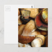 boletus briefkaart (Voorkant / Achterkant)