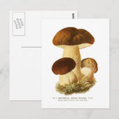 Boletus bulbosus briefkaart (Voorkant / Achterkant)