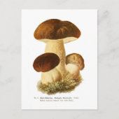 Boletus bulbosus briefkaart (Voorkant)