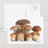 Boletus Edulis Briefkaart (Voorkant / Achterkant)