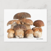 Boletus Edulis Briefkaart (Voorkant)