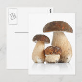Boletus Edulis Briefkaart (Voorkant / Achterkant)