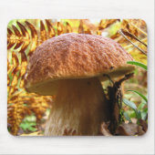 BOLETUS EDULIS MUISMAT (Voorkant)