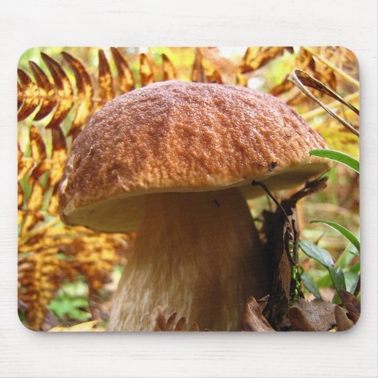 BOLETUS EDULIS MUISMAT (Voorkant)