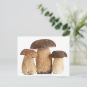 Boletus Edulis PCard Briefkaart (Staand voorkant)