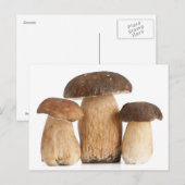 Boletus Edulis PCard Briefkaart (Voorkant / Achterkant)