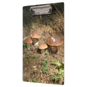 boletus klembord (Links)