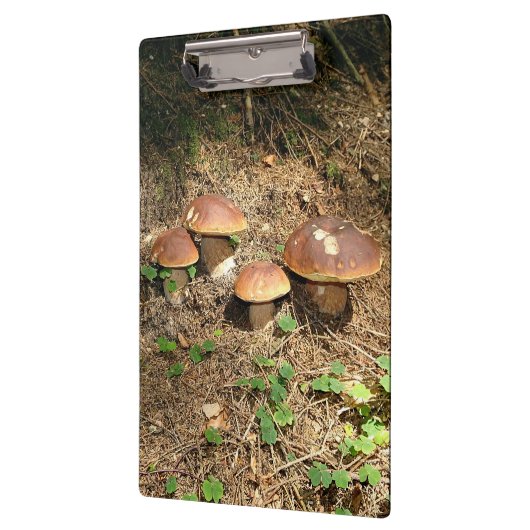 boletus klembord (Links)