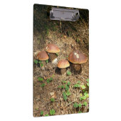 boletus klembord (Rechts)