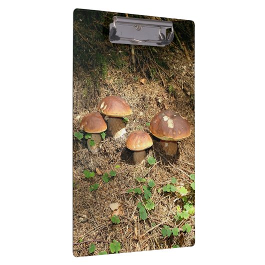 boletus klembord (Rechts)