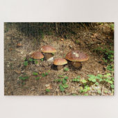 boletus legpuzzel (Horizontaal)