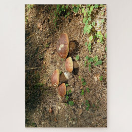 boletus legpuzzel