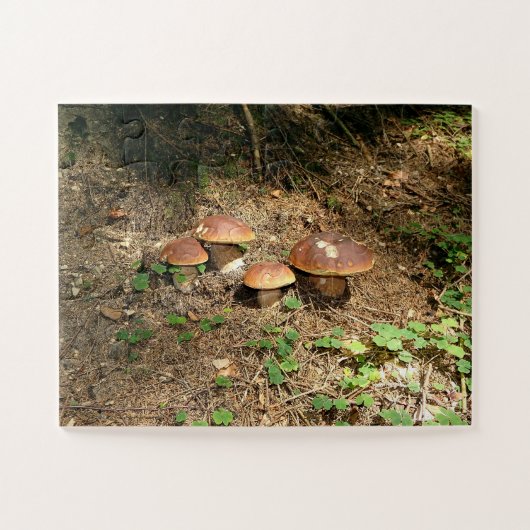 boletus legpuzzel (Horizontaal)