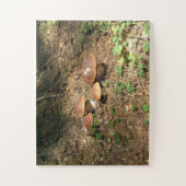 boletus legpuzzel (Verticaal)