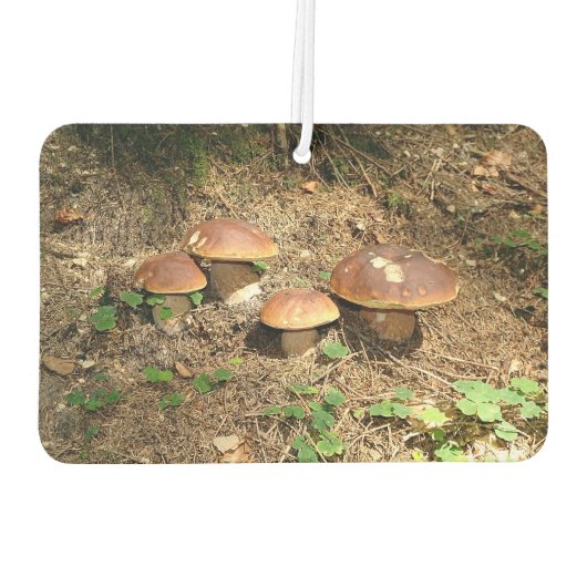 boletus luchtverfrisser (Achterkant)