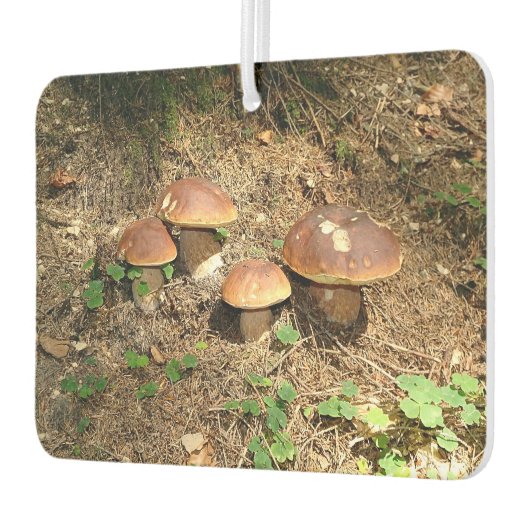 boletus luchtverfrisser (Links)