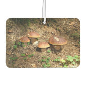 boletus luchtverfrisser (Voorkant)