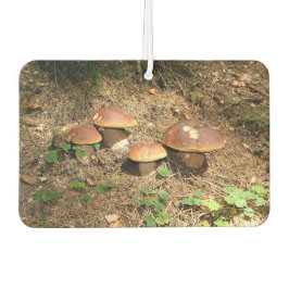 boletus luchtverfrisser